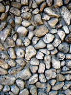 Le coaching individuel Le coaching individuel